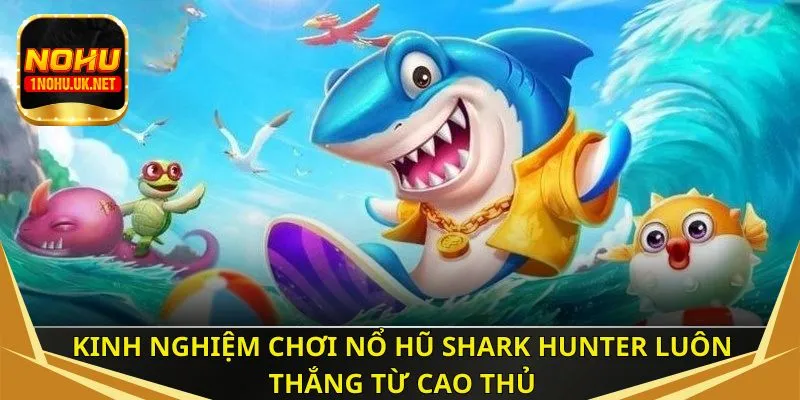 Kinh nghiệm chơi nổ hũ Shark Hunter luôn thắng từ cao thủ